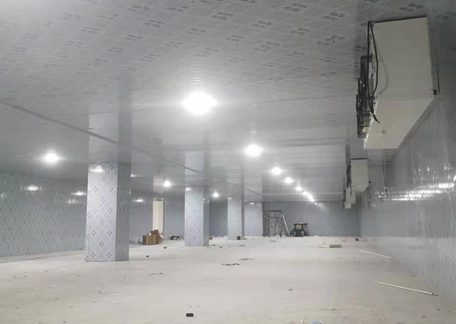 1000 Square Meter Agricultural Products Cold Storage Room
