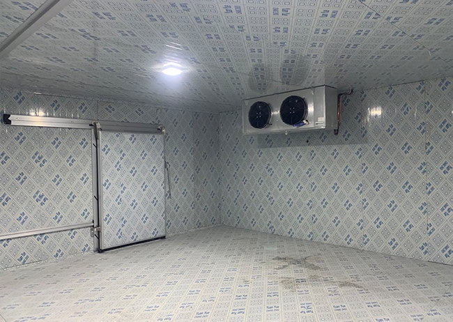 Food Freezing Cold Room Construction in the Philippines