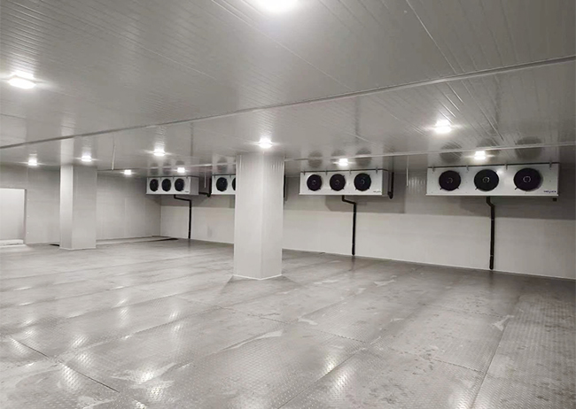 Large Seafood Blast Freezing Cold Storage Construction Project