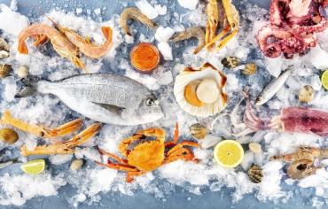How is Refrigerated Storage Used To Keep Seafood Fresh?