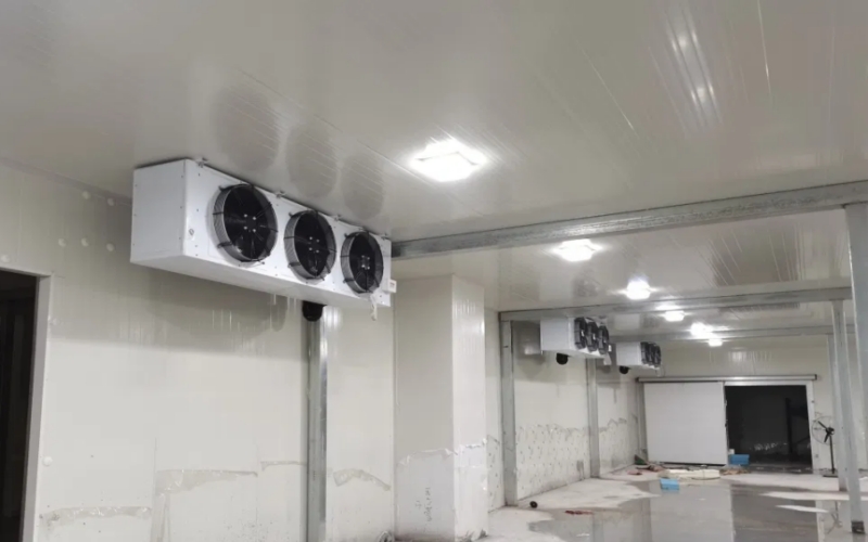 Frozen Room Equipment Blast Freezer Price Cold Storage Price for Meat and Fish 1