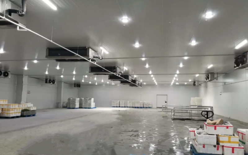 Frozen Room Equipment Blast Freezer Price Cold Storage Price for Meat and Fish 4