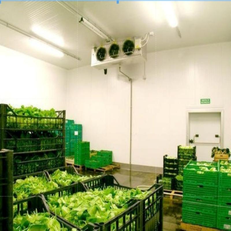ARTECO: Walk-in Cold Rooms, Cold Storage Room Units, Portable Freezer ...