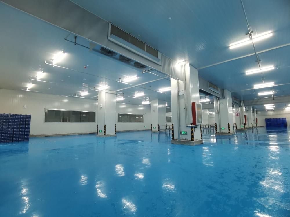 ARTECO Successfully Constructs Blueberry Cold Storage Project in Anhui Huaining County