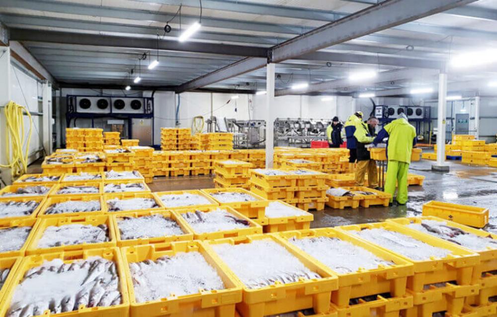 Fish Cold Room.jpg