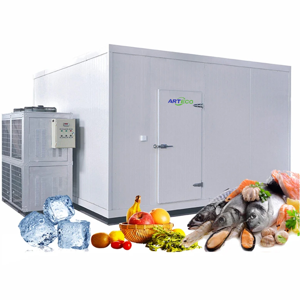 ARTECO Walk-in Freezer, Cold Room for Frozen Meat, Frozen Fish