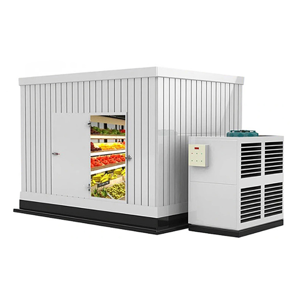 CDB Series Commercial Doual Discharge Cooler