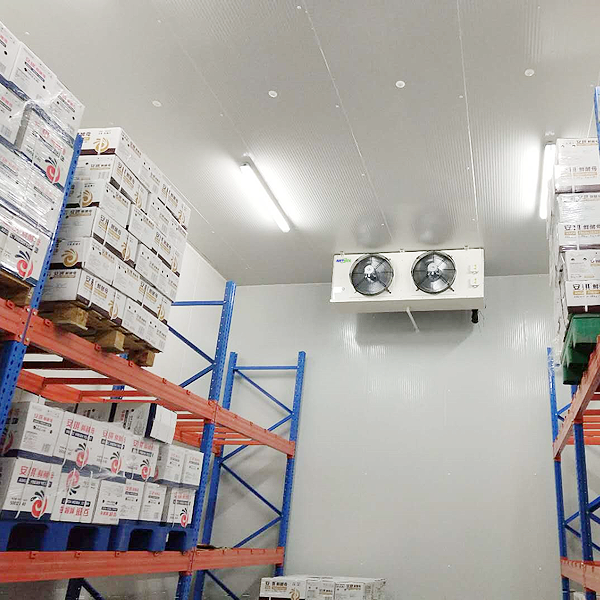 Cold Storage for Dairy Products