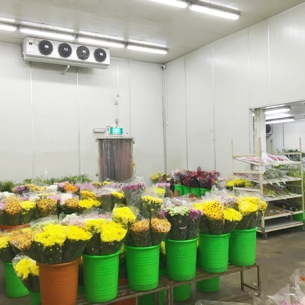 ARTECO Cold Room for Flowers