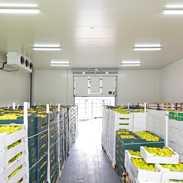 ARTECO Commercial Cold Room for Fruit