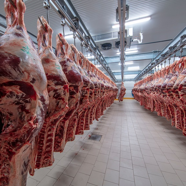 ARTECO Meat Storage Cold Room