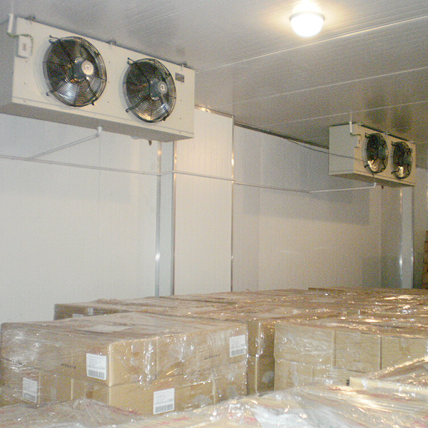 ARTECO Frozen Fish Blast Room