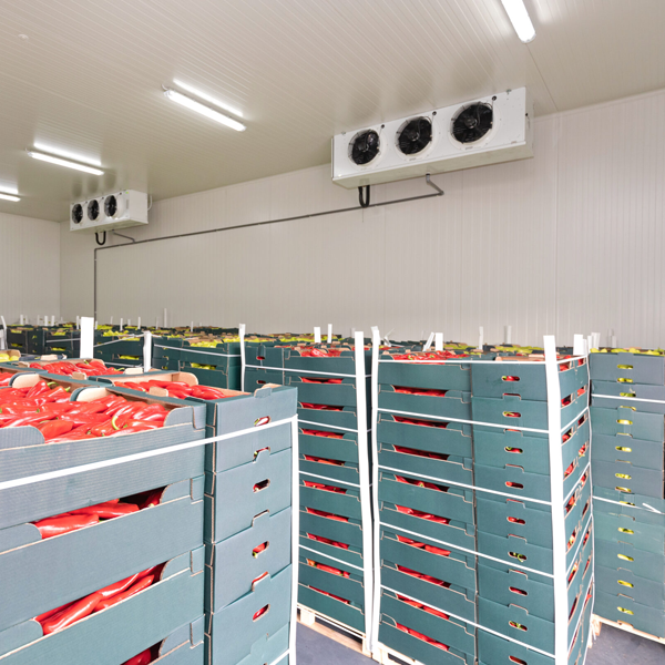 Fruit Cold Storage Cold Room