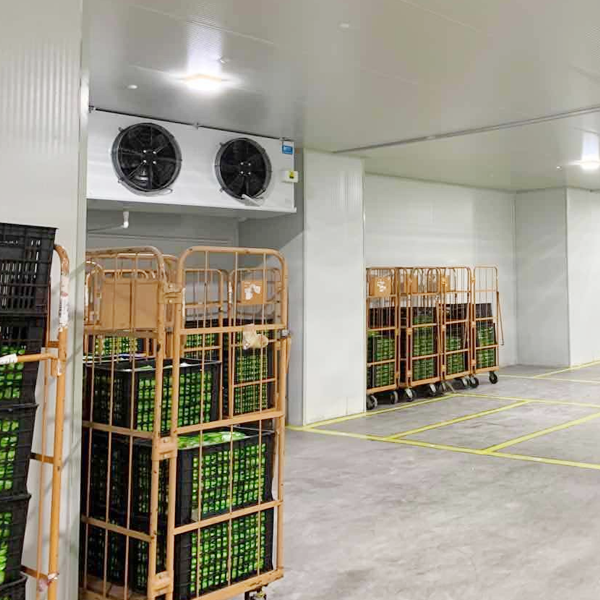 ARTECO Customized Fruit and Vegetable Cold Storage