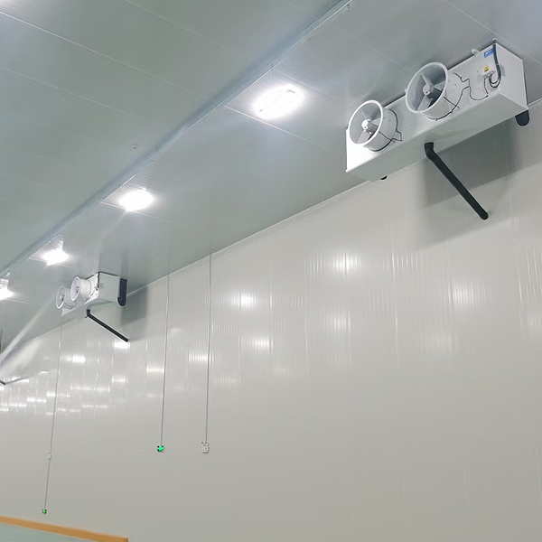 Frozen Room Equipment Blast Freezer Price Cold Storage Price for Meat and Fish