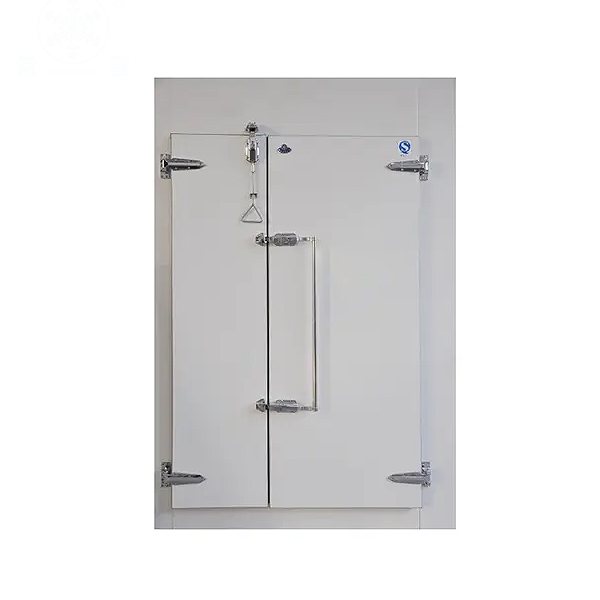 Cold Room Swing Door
