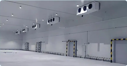 fruit cold storage room.png