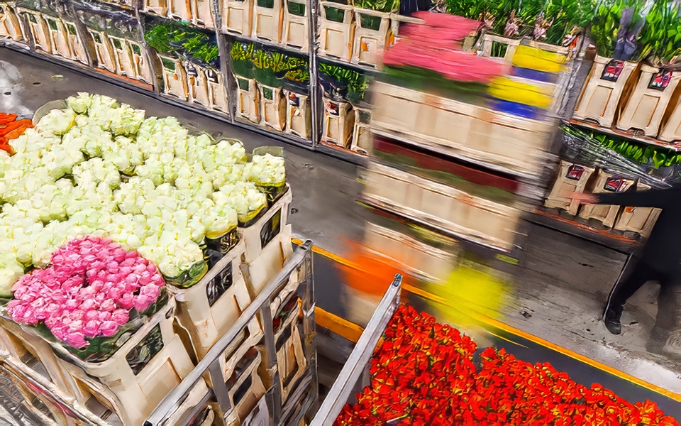 flower storage