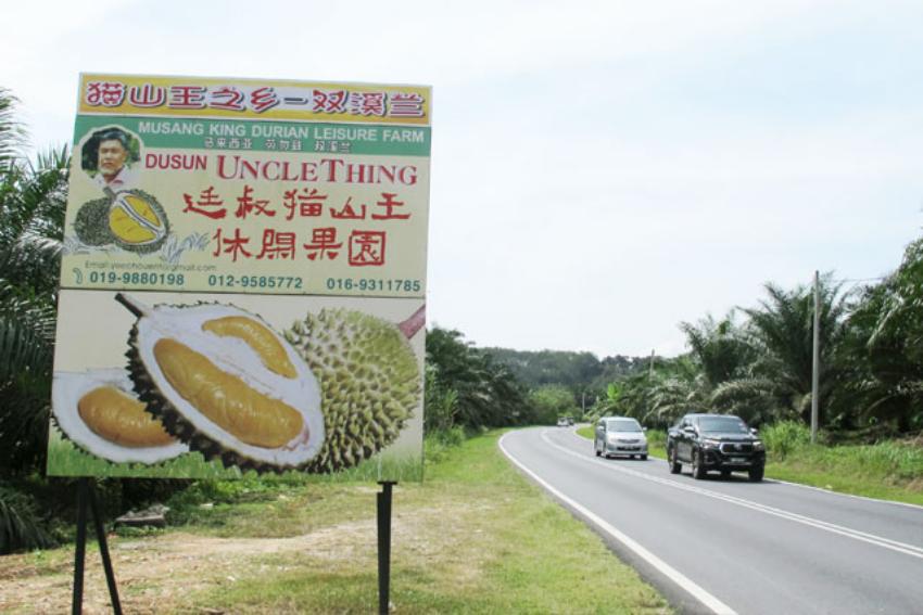 Mastering Durian Storage: ARTECO's Malaysian Success Story