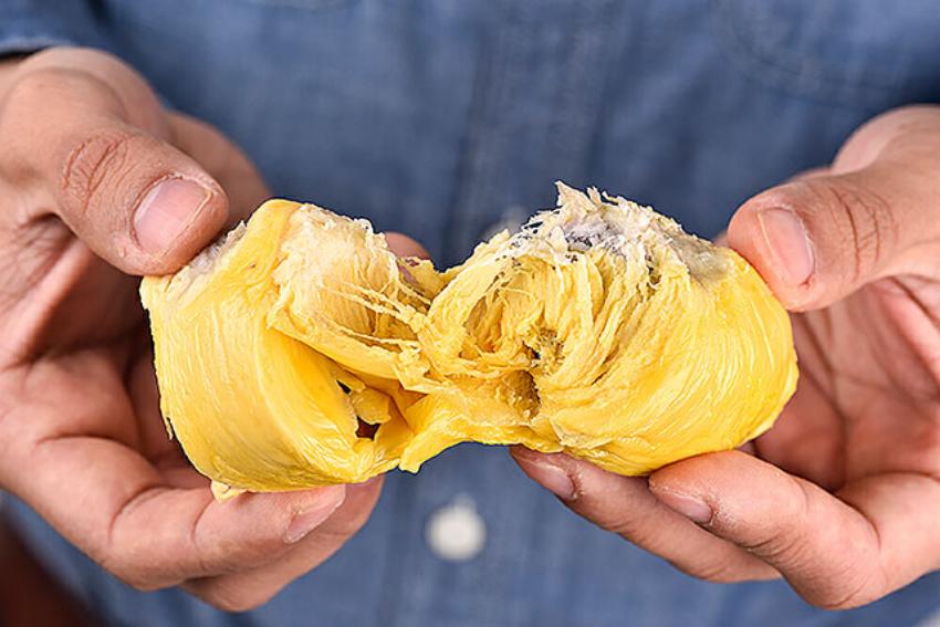 Mastering Durian Storage: ARTECO's Malaysian Success Story