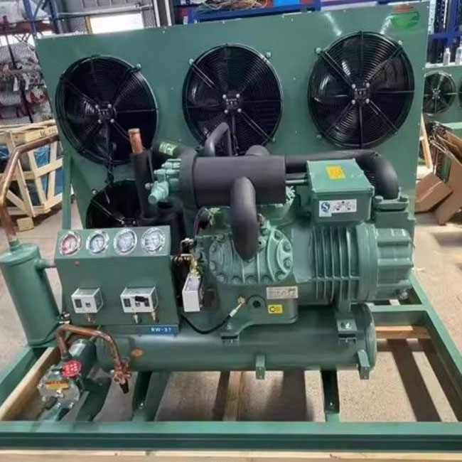 12HP Customized Air Cooled Condensing Unit With Bizer Compressor 4Pes-12Y -15℃ To -35℃