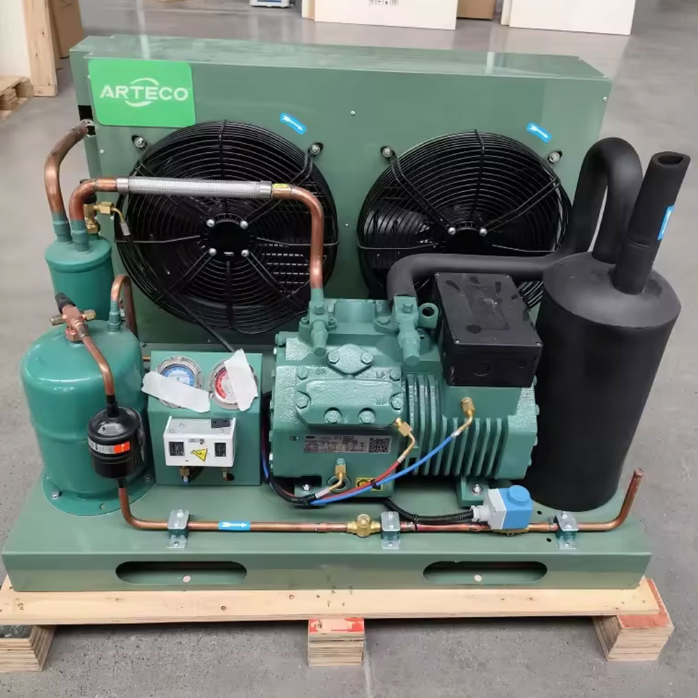 Bitzer 6HP 4Ces-6Y Cold Room Refrigeration Compressor Unit Air Cooling Condensing Unit For Cold Room Storage