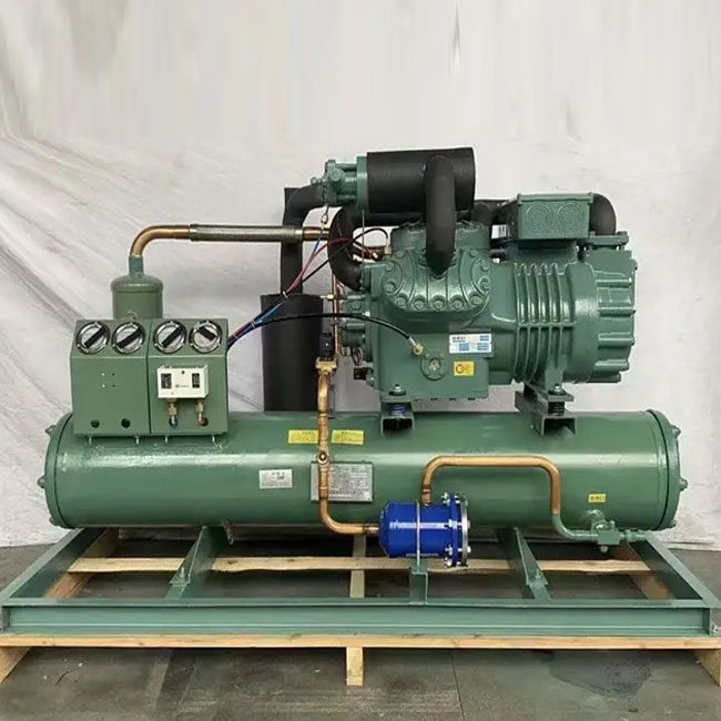 Freezer Room Refrigeration Unit Cold Room Condenser Unit Cold Storage Equipments
