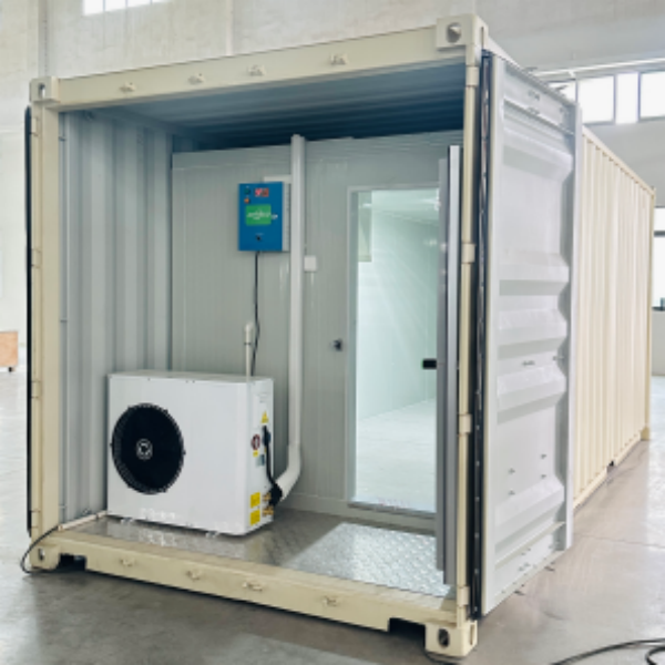 20ft Single-Phase Standard Refrigerated Container Low Temp