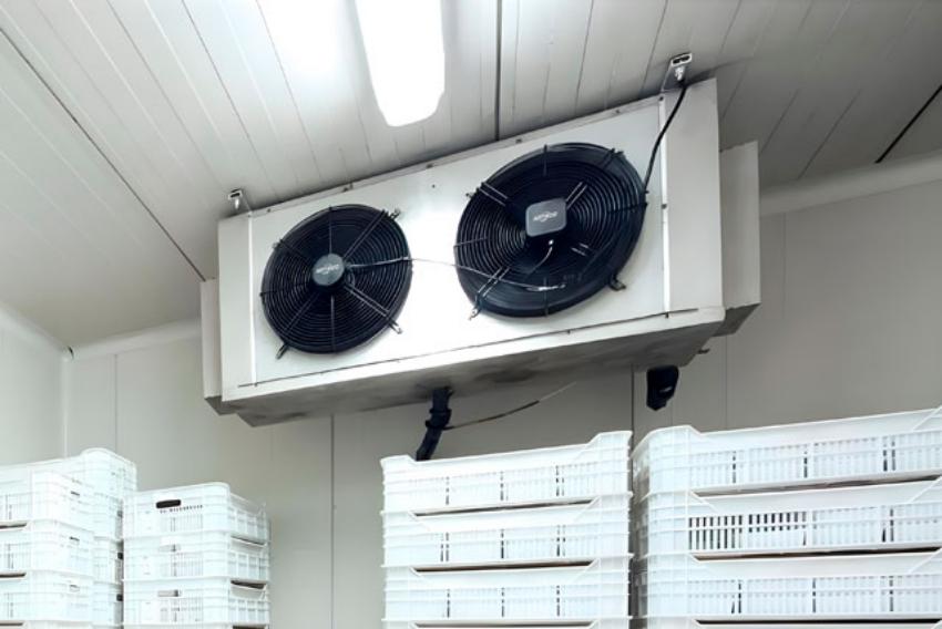 Ultra-Fast Freezing: The Science Behind Blast Freezers
