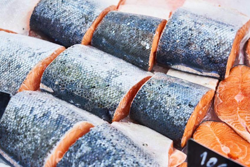 Ultra-Fast Freezing: The Science Behind Blast Freezers