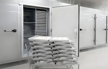 Ultra-Fast Freezing: The Science Behind Blast Freezers