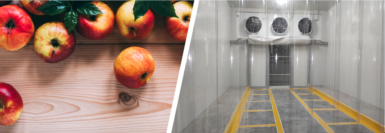 apple cold storage
