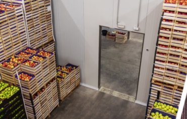 How Cold Storage Works for Apples