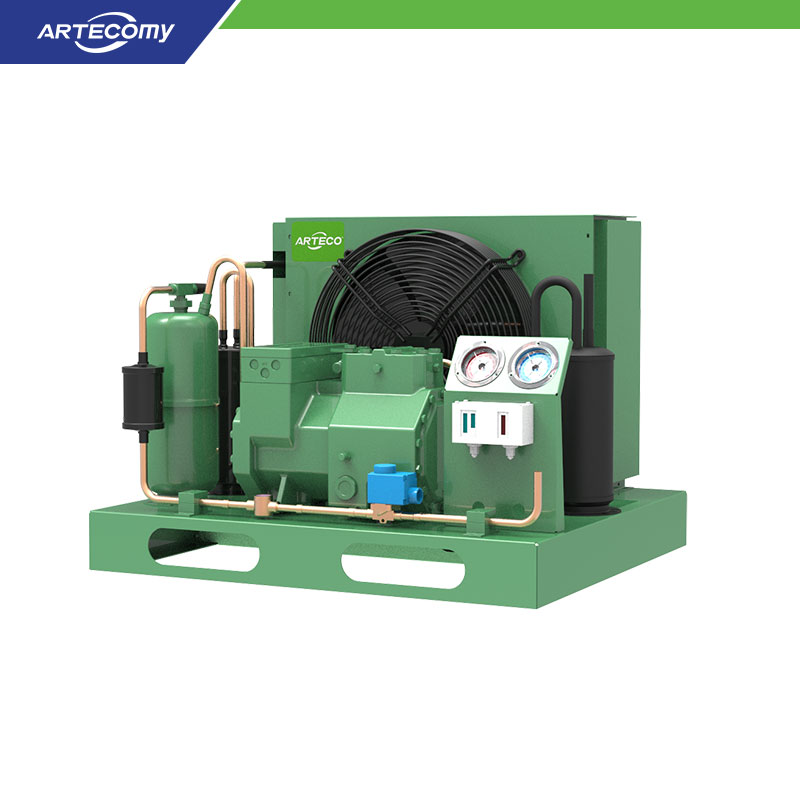 Bitzer 2DES-2Y 2HP Condensing Unit for Display Cooling