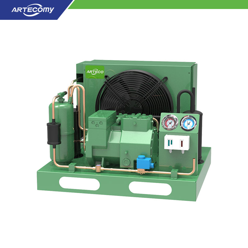 Bitzer 4CES-6Y 6HP Open Type Condensing Unit for Frozen Goods
