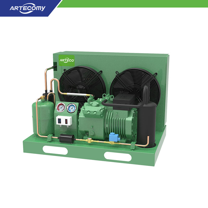 Bitzer 2DES-3Y 3HP Condensing Unit for Retail Refrigeration