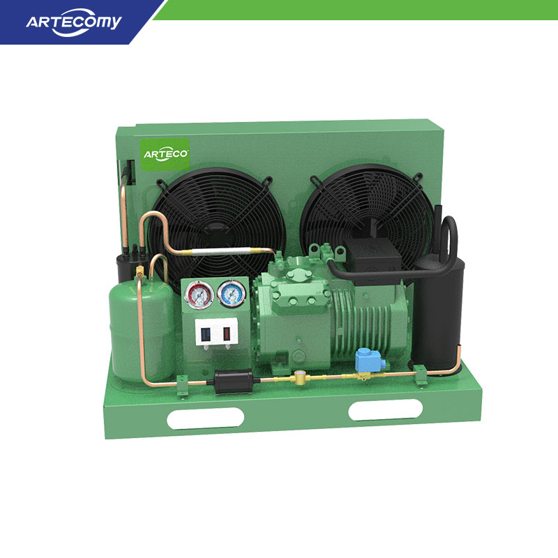 Bitzer 2DES-3Y 3HP Open Type Semi-hermetic Condensing Unit for Retail