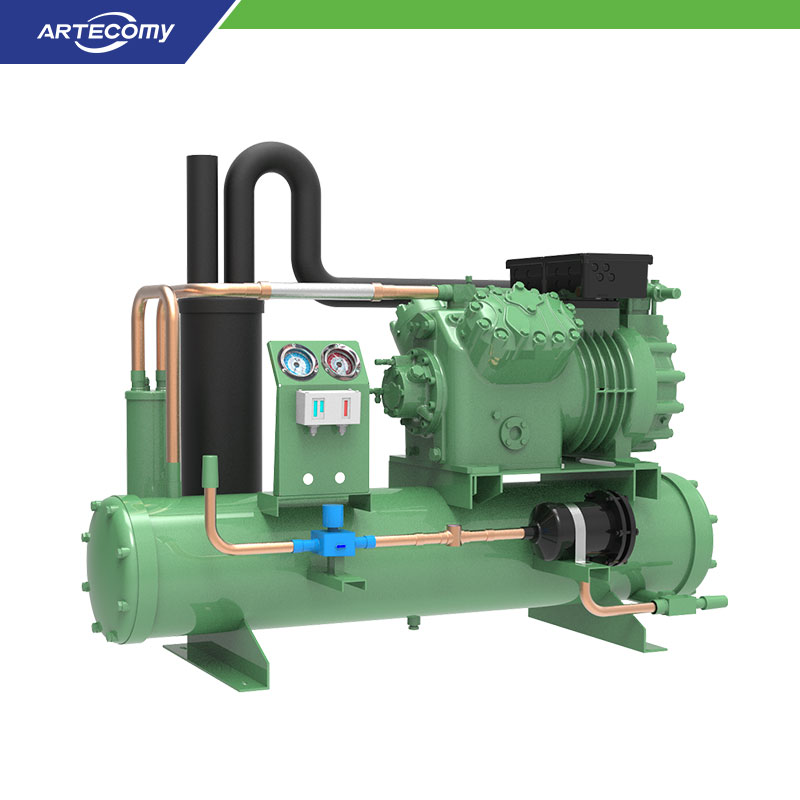 Bitzer 4TES-9Y 9 HP Condensing Unit Water-Cooled -15°C~-35°C Ice Cream Production Unit