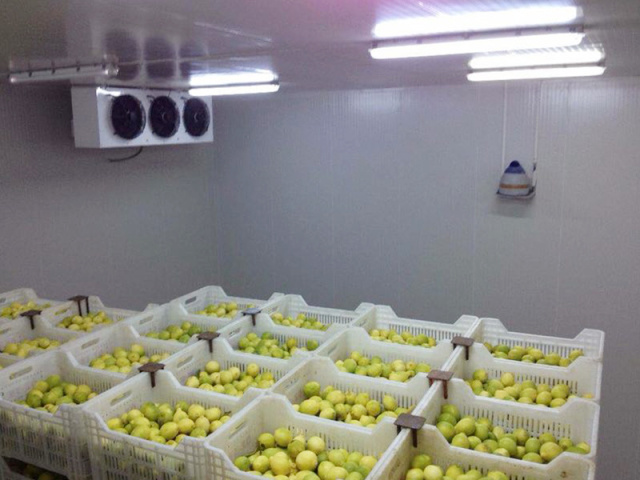 Do Cold Rooms Need Disinfection? Understanding Cold Storage Hygiene