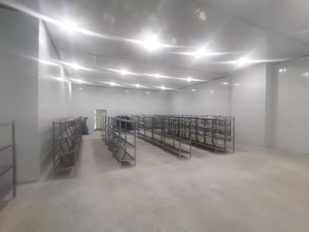 arteco cold room2