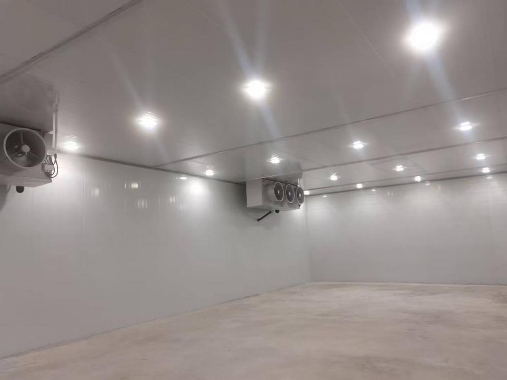 arteco cold room3